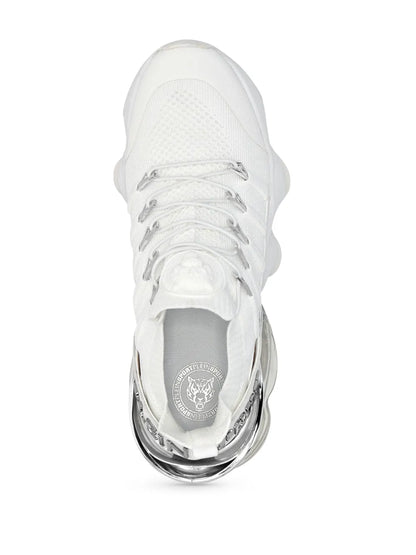 Philipp Plein Tiger